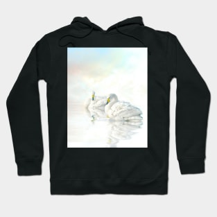 Sunlit Whoopers. Hoodie